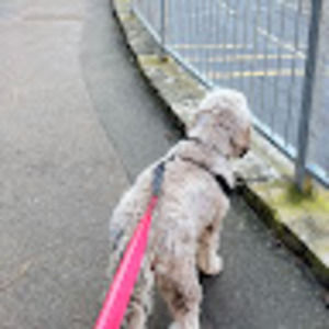 Meet your Posher, Jack